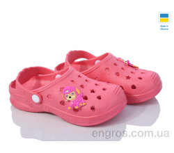 Кроксы Golden Lion